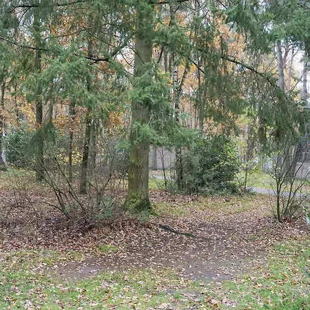 Serene Holiday In North Limburg In The Forest Holiday home *