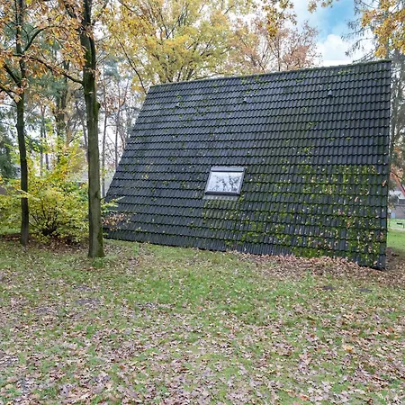 Serene Holiday In North Limburg In The Forest Holiday home *